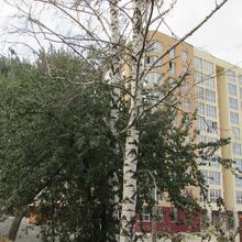 Хід будівництва ЖК Софіївська сфера, вул. Соборна, 126/1, просп. Небесної Сотні, 26/9, серпень 2017