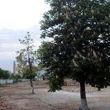 Ход строительства ЖК Poetica. Первая коллекция, , май 2018