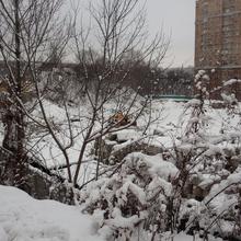 Хід будівництва вул. Цимбалів Яр, 31, , грудень 2018