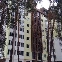 Хід будівництва ЖК Ірпінські Липки, 2 будинок (секція 7), січень 2019