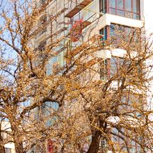 Ход строительства ЖК Lystopad, 0, апрель 2019