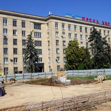 Ход строительства МФК 50Avenue, 0, июнь 2020