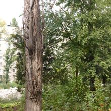 Хід будівництва вул. Давида Ойстраха, 8а, , жовтень 2020