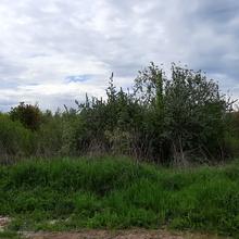 Ход строительства ЖК Квартал Краковский, , май 2021