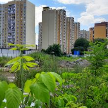 Ход строительства ЖК Art House, 0, июнь 2021