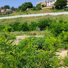 Хід будівництва 13-а станція Великого Фонтану, , липень 2021