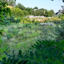 Хід будівництва вул. Цимбалів Яр, 31, 0, липень 2021