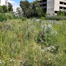 Хід будівництва ЖК Авеню 42, , липень 2021