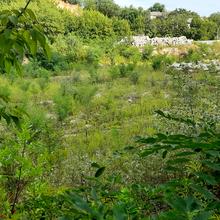 Хід будівництва вул. Цимбалів Яр, 31, 0, серпень 2021