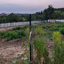 Ход строительства ул. Балакирева, 0, август 2021