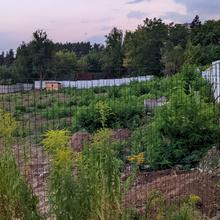 Ход строительства ул. Балакирева, 0, август 2021