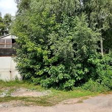 Хід будівництва ЖК Авеню 42, 0, серпень 2021