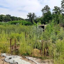 Хід будівництва ЖК Авеню 42, , серпень 2021