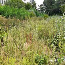 Хід будівництва ЖК Авеню 42, , серпень 2021