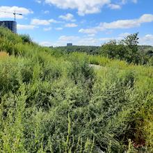 Хід будівництва ЖК Київська Швейцарія, 0, серпень 2021