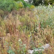 Хід будівництва ЖК Авеню 42, , вересень 2021