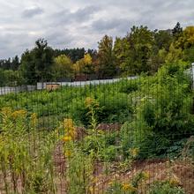 Ход строительства ул. Балакирева, 0, сентябрь 2021