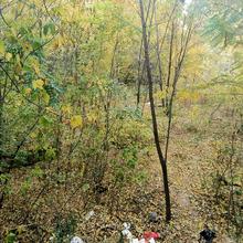 Хід будівництва ЖК Домінанта, 1 будинок (секції 2-3), жовтень 2021