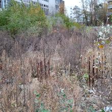 Хід будівництва ЖК Авеню 42, , жовтень 2021