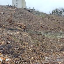 Хід будівництва вул. Госпітальна, 4, 0, січень 2022