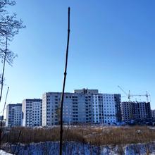 Ход строительства ЖК Сказка, 9 дом, февраль 2022