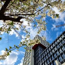 Хід будівництва ЖК Вільне Місто, 0, травень 2022