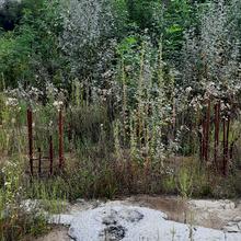 Хід будівництва ЖК Авеню 42, , серпень 2022