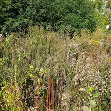 Хід будівництва ЖК Авеню 42, , серпень 2022