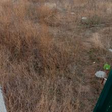 Ход строительства ЖК BRUSSELS, 1 дом (секция 4), ноябрь 2023