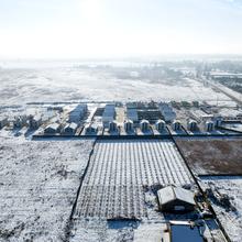 Хід будівництва КМ Gardd House Eco Village, 0, грудень 2024