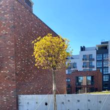 Хід будівництва Таунхауси Forest Hill, 0, квітень 2025