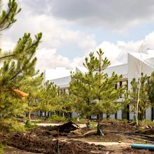 Ход строительства Таунхаусы 4 Lines, 0, август 2025