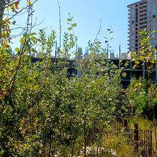 Хід будівництва ЖК Еврика, 31 будинок, вересень 2025