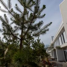 Ход строительства Таунхаусы 4 Lines, 0, сентябрь 2025