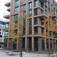 Хід будівництва ЖК Файна Таун, 9 черга (будинок 03801-03901), жовтень 2025