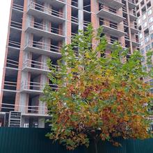 Хід будівництва ЖК Метрополіс, 4 будинок (секція 2), листопад 2025