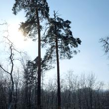 Хід будівництва вул. Живописна, 10, 0, січень 2026