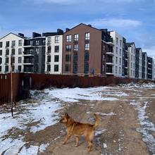 Хід будівництва ЖК Чайка Люкс, 2 будинок, лютий 2026