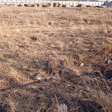 Хід будівництва ЖК ЕКО-ДІМ на Трускавецькій, 1-2 секції, березень 2026