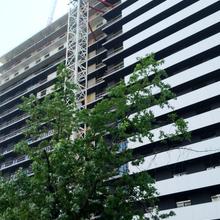 Хід будівництва Прибутковий будинок S1 Obolon, Будинок, травень 2026