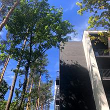 Ход строительства ЖК Forest Park, 0, май 2026