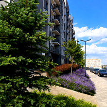 Ход строительства ЖК Park Residence, 0, июнь 2026