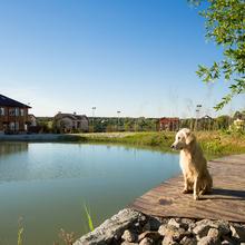 Хід будівництва КМ Home Resort, 0, жовтень 2026