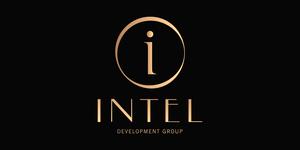 INTEL DEVELOPMENT GROUP