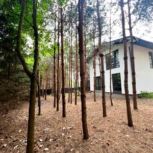 Дом №3 (11 сот.)