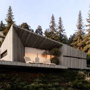 Тип 1 (котедж)