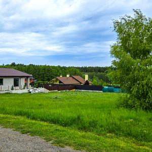 Ділянка 42а - вид на ліс