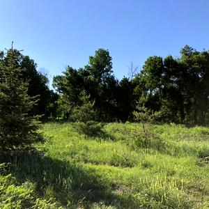 Участок №4 (15 соток)