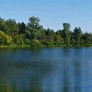  Берег Форелька