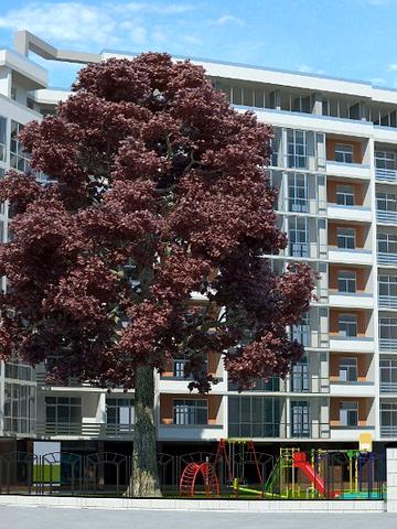 вул. Моршинська